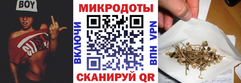 Купить закладки  Кяхта  Псилоцибиновые грибы прущие грибы 
